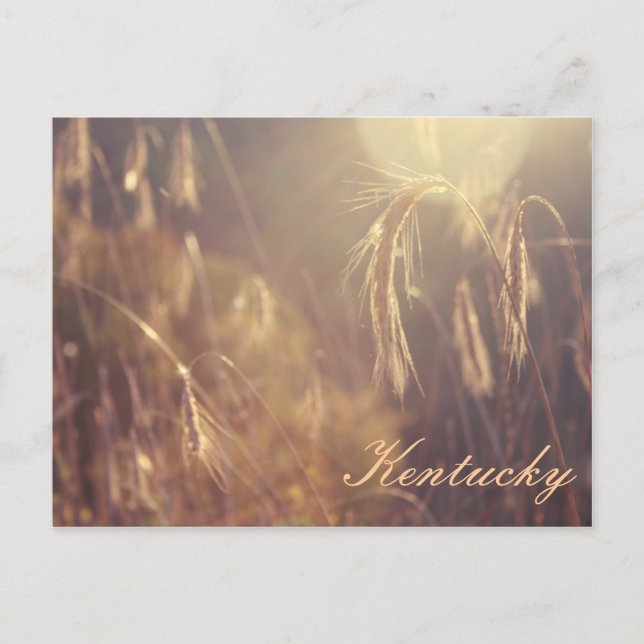 Solnedgång på berget vykort (Framsida)