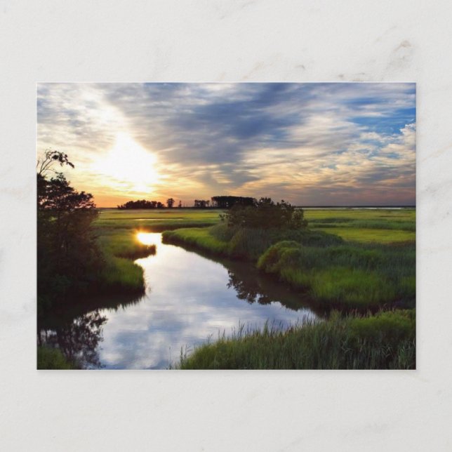 Solnedgång på Bombay Hook Marsh Delaware Vykort (Framsida)
