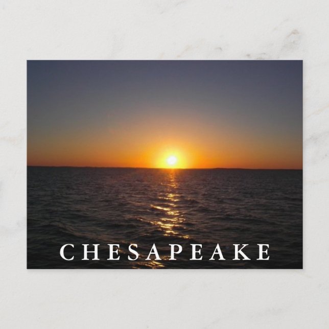 Solnedgång på Chesapeake-vykortet Vykort (Framsida)