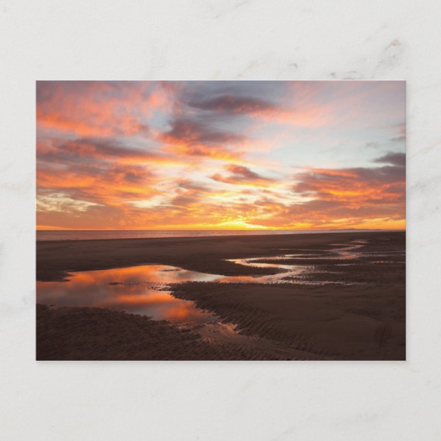 Solnedgång på Cortez hav Vykort (Framsida)