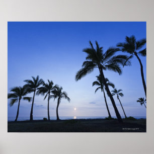 Solnedgång på den Kahaluu fjärden i Kona, Hawai Poster