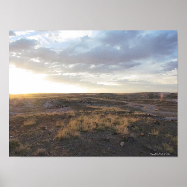 Solnedgång på den Petrified Forest Poster (Framsidan)