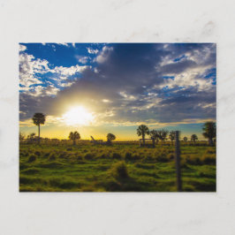 Solnedgång på en ranch i Florida Vykort