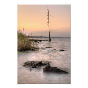 Solnedgång på Louisiana träsk Fototryck