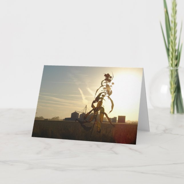 Solnedgång på morgonen Sol, Iowa Kort (Framsida)