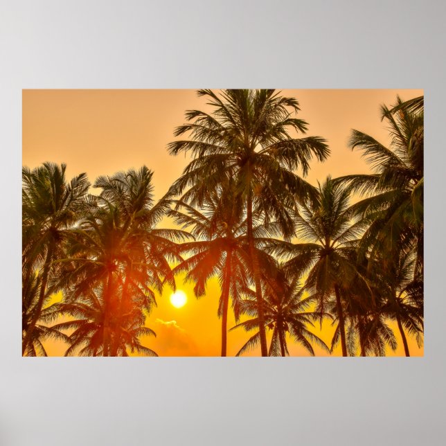 Solnedgång på Sri Lankas strand Poster (Framsidan)
