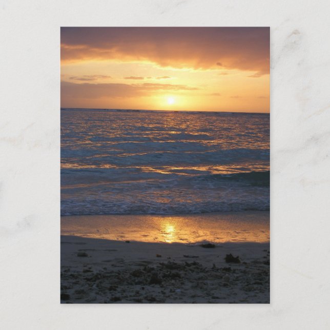 solnedgång på stranden vykort (Framsida)