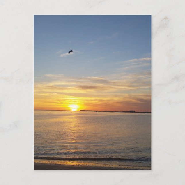 Solnedgång på Thanksgiving. Helg Vykort (Framsida)