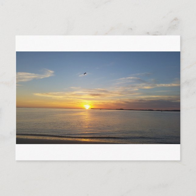 Solnedgång på Thanksgiving. Helg Vykort (Framsida)