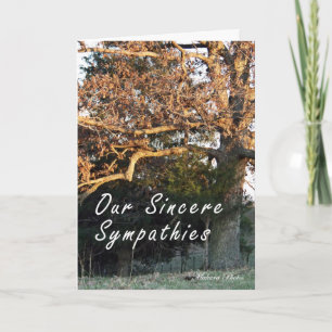 Solnedgång på trädsympatikortet kort