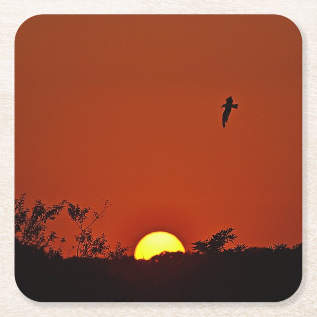 Solnedgång Party Underlägg Papper Kvadrat (Framsidan)