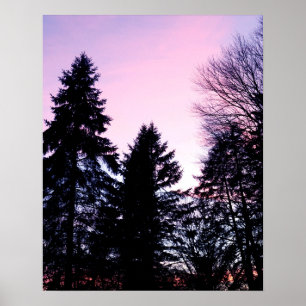 Solnedgång, pinka lila solnedgångar poster