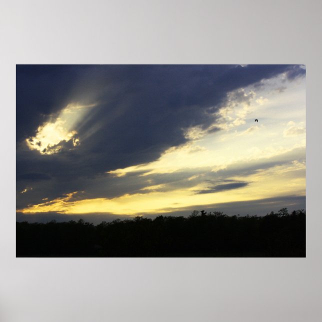 Solnedgång Poster (Framsidan)