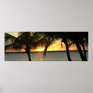 solnedgång poster