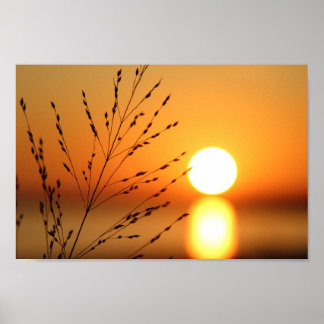Solnedgång Poster