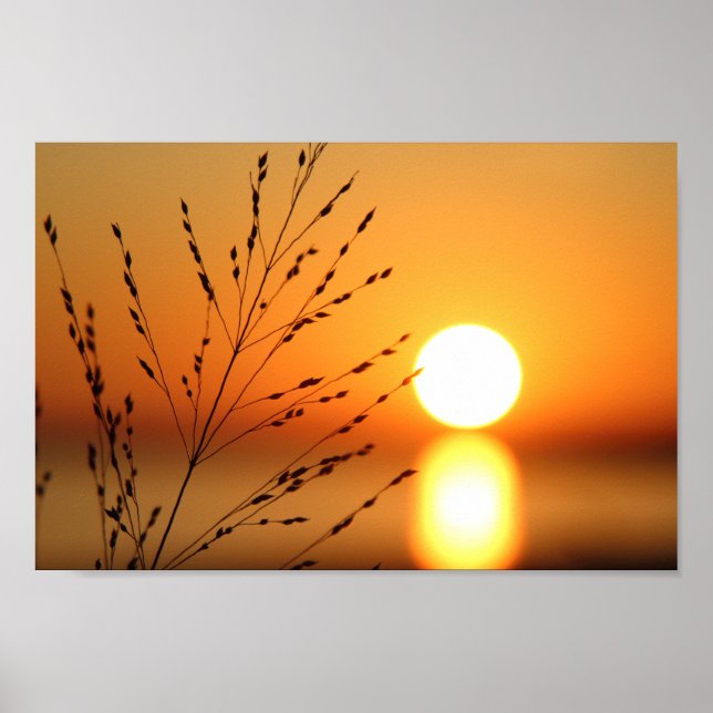 Solnedgång Poster (Framsidan)