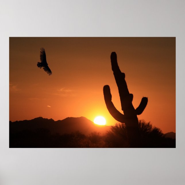 Solnedgång Poster (Framsidan)