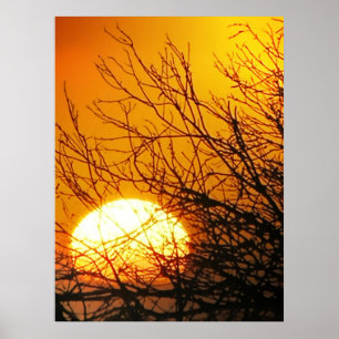 Solnedgång Poster