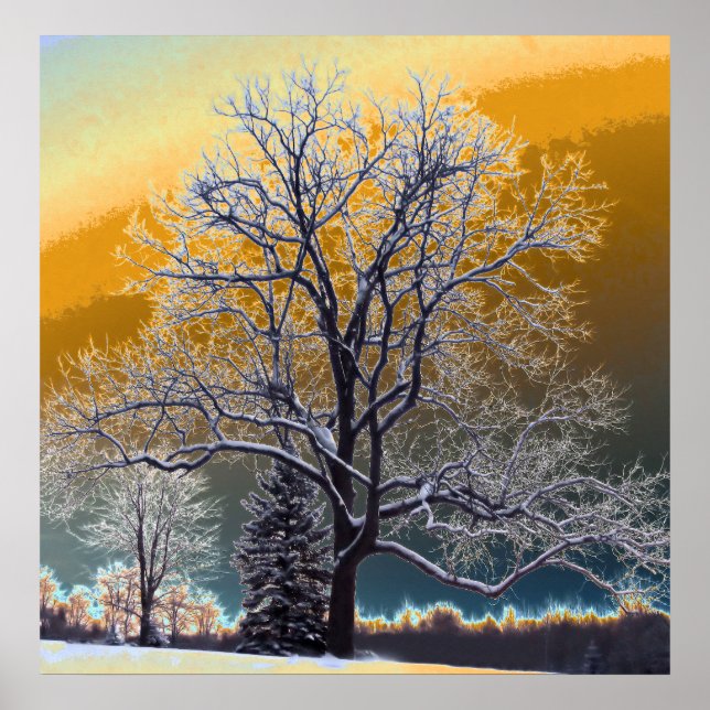 Solnedgång Poster (Framsidan)