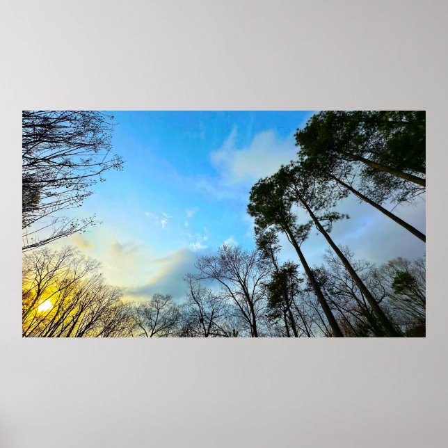 Solnedgång Poster (Framsidan)