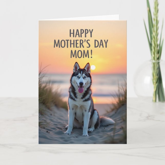 Solnedgång Randigt Mönster Hund Kort (Framsida)