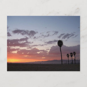 solnedgång: Santa monica, ca Vykort