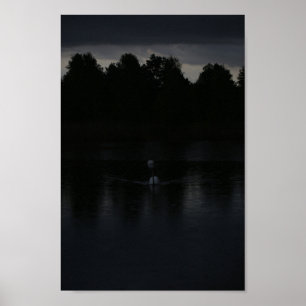Solnedgång Sjön Regn Svanar Natur Landskap Poster