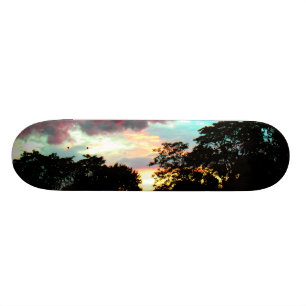 SOLNEDGÅNG SKATEBOARD BRÄDA 20,5 CM