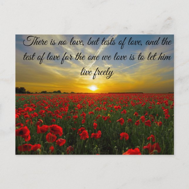 solnedgång sol vykort (Framsida)