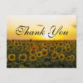 Solnedgång: Tack för ditt kort