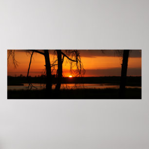 Solnedgång till och med träden poster