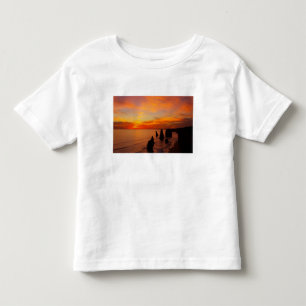 Solnedgång, Twelve Apostles, Port Campbell Nationa T Shirt