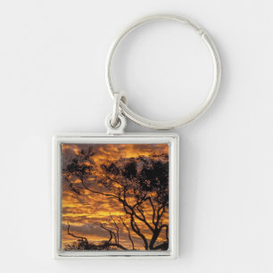 Solnedgång, Uluru-Kata Tjuta National Park, Fyrkantig Silverfärgad Nyckelring
