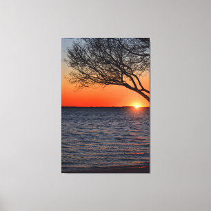 Solnedgång under Träd Wrapped Canvas