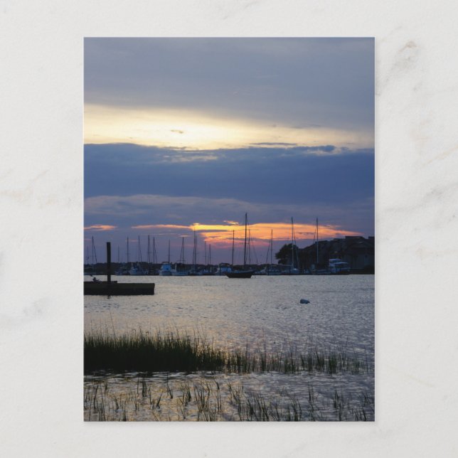 Solnedgång vid Folly Harbour Vykort (Framsida)