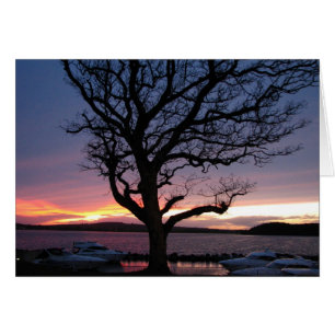 Solnedgång vid hamnen hälsningskort