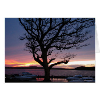 Solnedgång vid hamnen hälsningskort