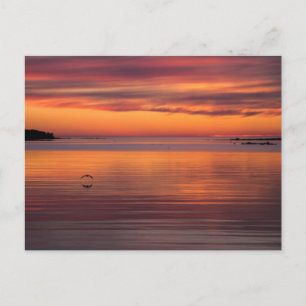 Solnedgång vid havet, Finlands vykort C0157