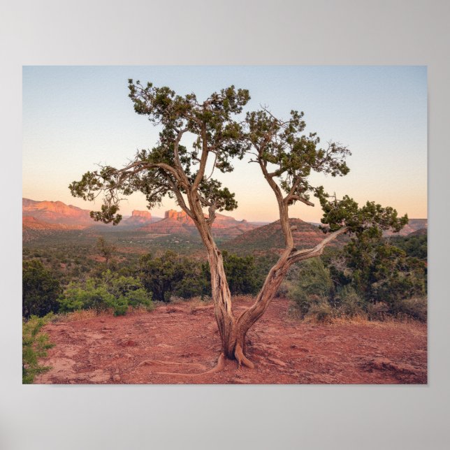 Solnedgång vid Lovers Knoll i Sedona Poster (Framsidan)