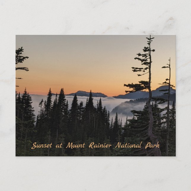 Solnedgång vid Mount Rainier-affisch Vykort (Framsida)