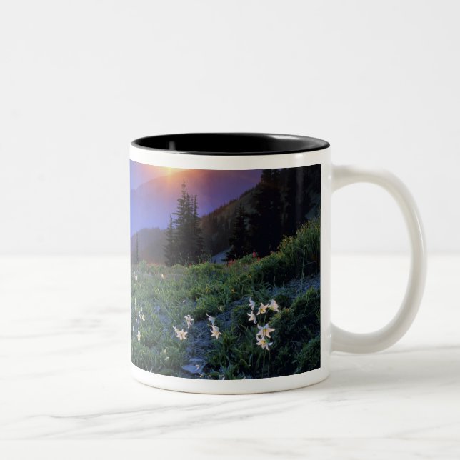 Solnedgång vid Obstruciton Point, Olympic NP, WA,  Två-Tonad Mugg (Höger)