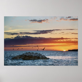 Solnedgång vid Pelican Rock, Dauphin Island, Alaba Poster