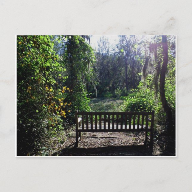 Solnedgång vid Phinizy Swamp Park Augusta, GA Vykort (Framsida)