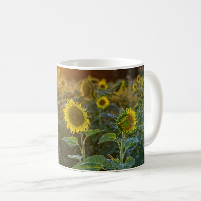 Solnedgång vid Solros Fält Kaffemugg (Framsida höger)