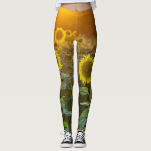Solnedgång vid Solros Fält Leggings