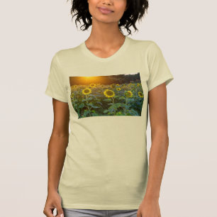 Solnedgång vid solros Fält T-Shirt