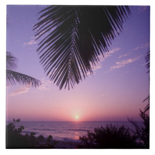 Solnedgång vid West End, Cayman Brac, Caymanöarna, Kakelplatta