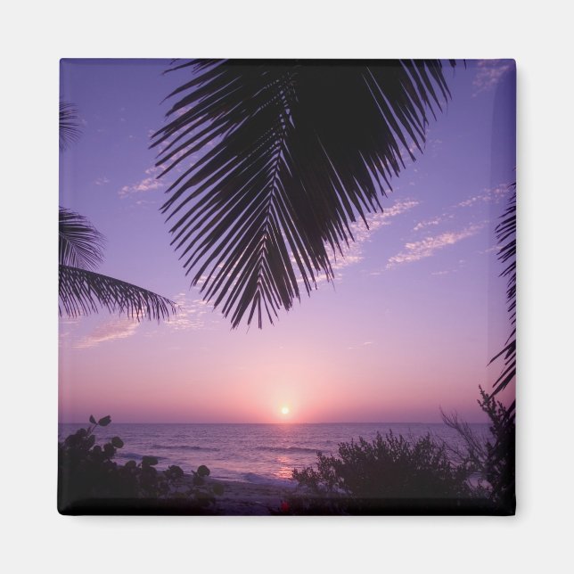 Solnedgång vid West End, Cayman Brac, Caymanöarna, Magnet (Framsidan)