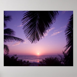 Solnedgång vid West End, Cayman Brac, Caymanöarna, Poster