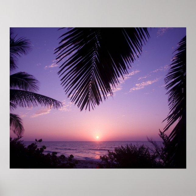 Solnedgång vid West End, Cayman Brac, Caymanöarna, Poster (Framsidan)